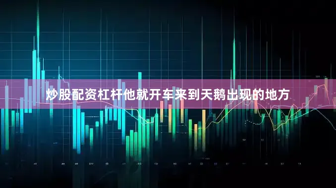 炒股配资杠杆他就开车来到天鹅出现的地方