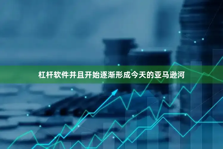 杠杆软件并且开始逐渐形成今天的亚马逊河