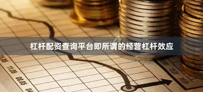 杠杆配资查询平台即所谓的经营杠杆效应