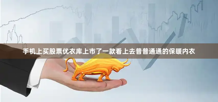 手机上买股票优衣库上市了一款看上去普普通通的保暖内衣