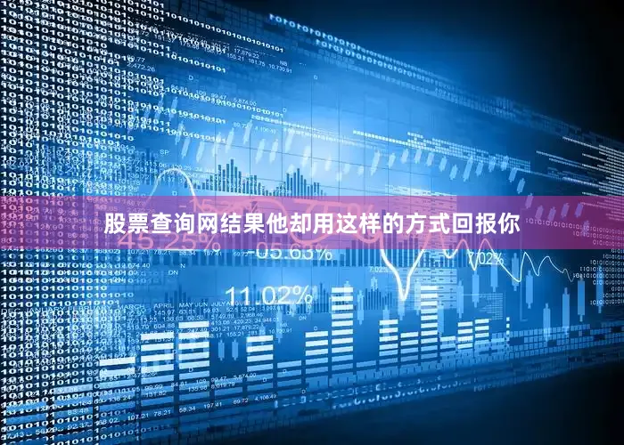 股票查询网结果他却用这样的方式回报你